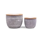 Paddywax Sonora PURPLE WILDFLOWERS & BIRCH vonná svíčka (10oz / 284g)