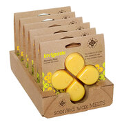 ROOT CANDLES Seeking Balance vosk INVIGORATE / POVZBUZENÍ