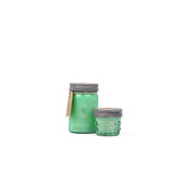 Paddywax RELISH WHITE BIRCH & MINT vonná svíčka (3oz/85g)