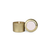 Paddywax ELEMENT WHITE WISTERIA & WILLOW vonná svíčka (2 oz / 56 g)
