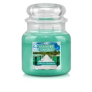 Country Candle Citrus & Seagrass vonná svíčka střední 2-knotová (453 g)