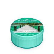 Country Candle Citrus & Seagrass vonná svíčka (35 g)