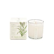 KOBO Plant the Box Fresh Cut Grass vonná svíčka (10oz / 283g)