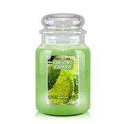 Country Candle Sparkling vonná svíčka velká 2-knotová (652 g)