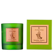Vila Hermanos Aromathologie Rosemary vonná svíčka 200g