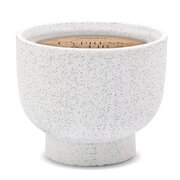 Paddywax Cypress & Fir vonná svíčka v keramické nádobě (14 oz /396g)