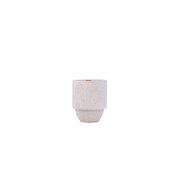 Paddywax Parks Olympic Nation Park Pacific Moss & Mist (11oz / 311g)
