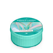 Kringle Candle Agave Pastel vonná svíčka (42 g)