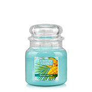 Country Candle Mango Nectar vonná svíčka střední 2-knotová (453 g)
