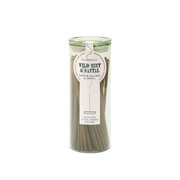 Paddywax Haze Wild Mint & Santal vonné tyčinky ve skleněném obalu 100 ks