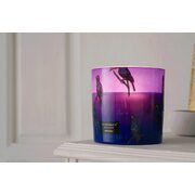 Vila Hermanos Jungletopia Toucan Rainforest vonná svíčka 650g