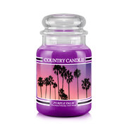Country Candle Purple Palm vonná svíčka velká 2-knotová (652 g)