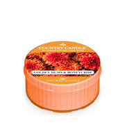 Country Candle Golden Mums & Honey Crisp Tonka vonná svíčka (42 g)