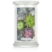 Kringle Candle Succulents vonná svíčka velká 2-knotová (624 g)