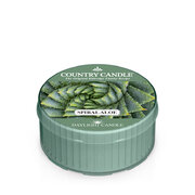 Country Candle Spiral Aloe vonná svíčka (42 g)