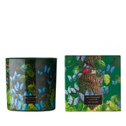 Vila Hermanos Jungletopia Butterfly vonná svíčka 650g