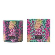 Vila Hermanos Jungletopia WILD MUSK vonná svíčka 650g