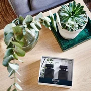 ipuro Essentials Black Bamboo 2x50ml difuzor v dárkovém balení