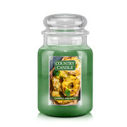 Country Candle Charred Pineapple vonná svíčka velká 2-knotová (737 g)