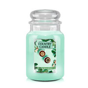 Country Candle Lemon Tea & Roses vonná svíčka velká 2-knotová (737 g)