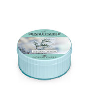 Kringle Candle Winter Cypress vonná svíčka (42g)