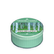 Country Candle White Birch and Rain vonná svíčka (42g)