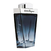 Salvatore Ferragamo Subtil Pour Homme Toaletní voda