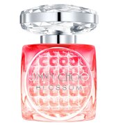 Jimmy Choo Blossom Special Edition 2025 Parfemovaná voda