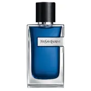 Yves Saint Laurent Y Iced Cologne Eau De Toilette Intense Toaletní voda 100ml