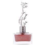 Aurora Scents Deciduous Spring Parfemovaná voda 100ml