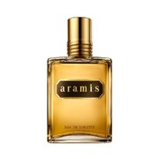 Aramis Aramis Toaletní voda 110ml