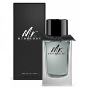 Burberry Mr. Burberry Toaletní voda, 150ml