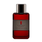 Antonio Banderas The Secret Temptation Toaletní voda 100ml