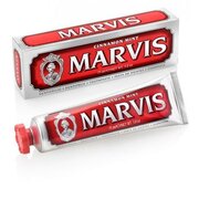 Zubní pasta mátovo skořicová (Cinnamon Mint Toothpaste) 85 ml
