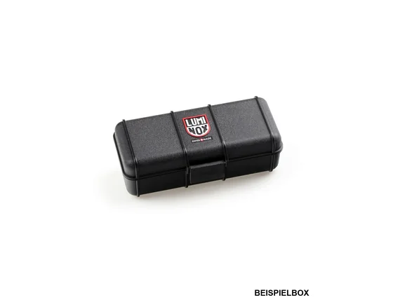 box_leatherback_32.jpg