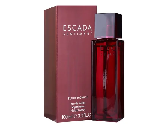 Escada Sentiment pour Homme 100ml edt.jpg