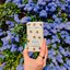 Miniatura: Wild honey & cactus flower bee case deostick, 40 g - 486620586_1149102190348562_6774521135099687929_n