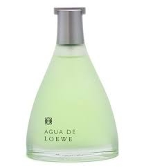 Loewe Agua de Loewe Toaletní voda - Tester, 100ml, pánske